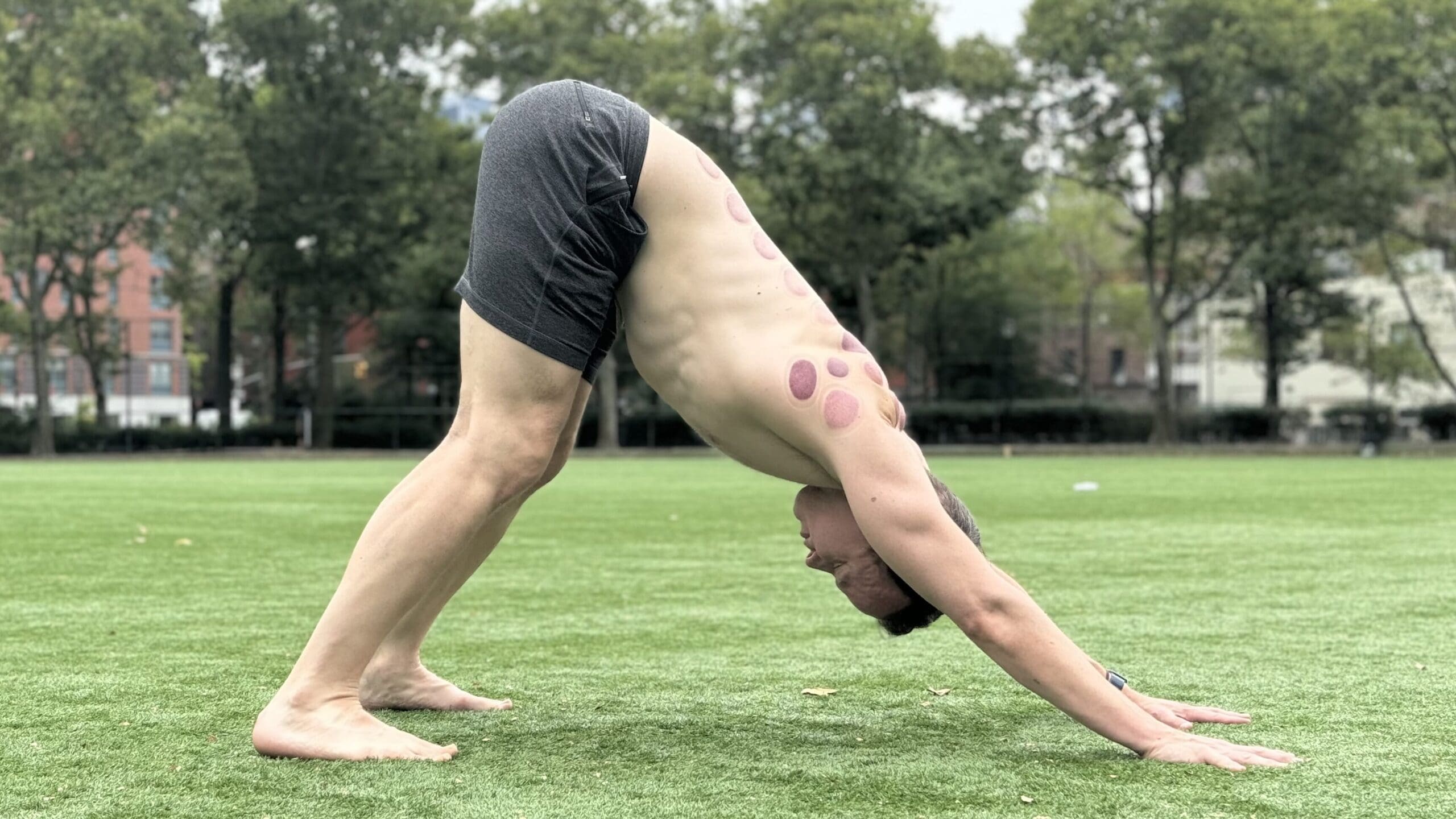 Adho Muka Svanasana Downward Facing Dog Pose JAMES DONEGAN