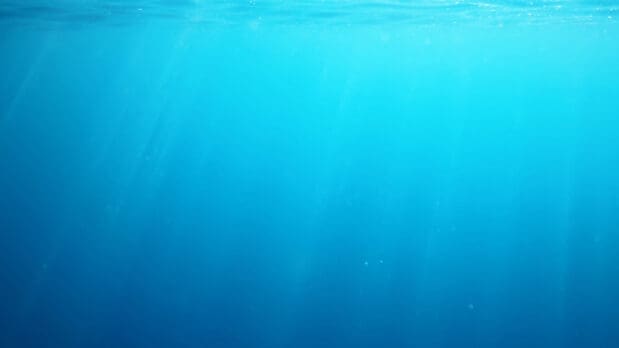 Expanse of deep blue ocean.